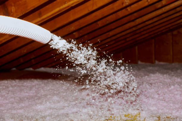Best DIY Insulation Kits and Guidance in Long Beach, MS