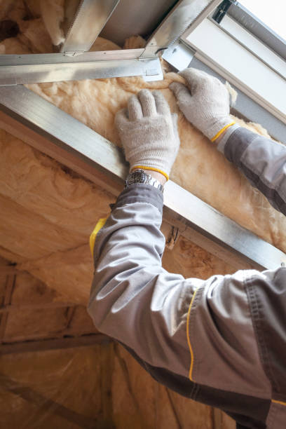 Best Residential Insulation in Long Beach, MS
